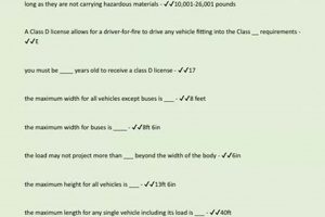 Ace Your Exam: Chauffeur License Louisiana Study Guide Success! | Study Travel Abroad | Explore Educational Trips & Global Learning Opportunities