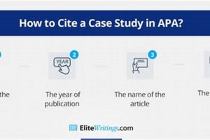 Cite a Case Study: The Definitive Guide + Examples | Study Travel Abroad | Explore Educational Trips & Global Learning Opportunities