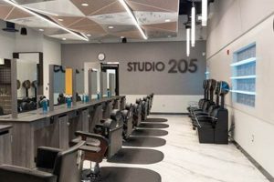 Optimize Studio 205: Workflow &amp; Setup Tips | Study Travel Abroad | Explore Educational Trips & Global Learning Opportunities