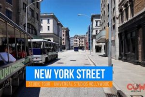 Beyond Reality: Universal Studios New York Street Magic | Study Travel Abroad | Explore Educational Trips & Global Learning Opportunities