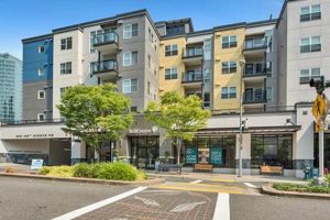 Find Affordable Studio Apartments in Bellevue Today! | Study Travel Abroad | Explore Educational Trips & Global Learning Opportunities