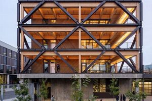 Find Your Ideal California College Arts Studios for Rent Today! | Study Travel Abroad | Explore Educational Trips & Global Learning Opportunities