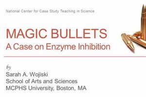 Unlock Success: Case Study Magic Bullets That Work | Study Travel Abroad | Explore Educational Trips & Global Learning Opportunities