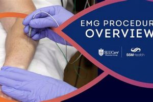 Local EMG Study Near Me: Find Top-Rated Experts! | Study Travel Abroad | Explore Educational Trips & Global Learning Opportunities