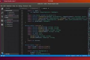Linux Visual Studio: A Dev's Guide + Tips | Study Travel Abroad | Explore Educational Trips & Global Learning Opportunities