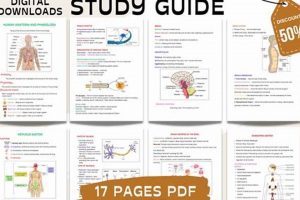 Your Best Anatomy Physiology Study Guide + Tips! | Study Travel Abroad | Explore Educational Trips & Global Learning Opportunities