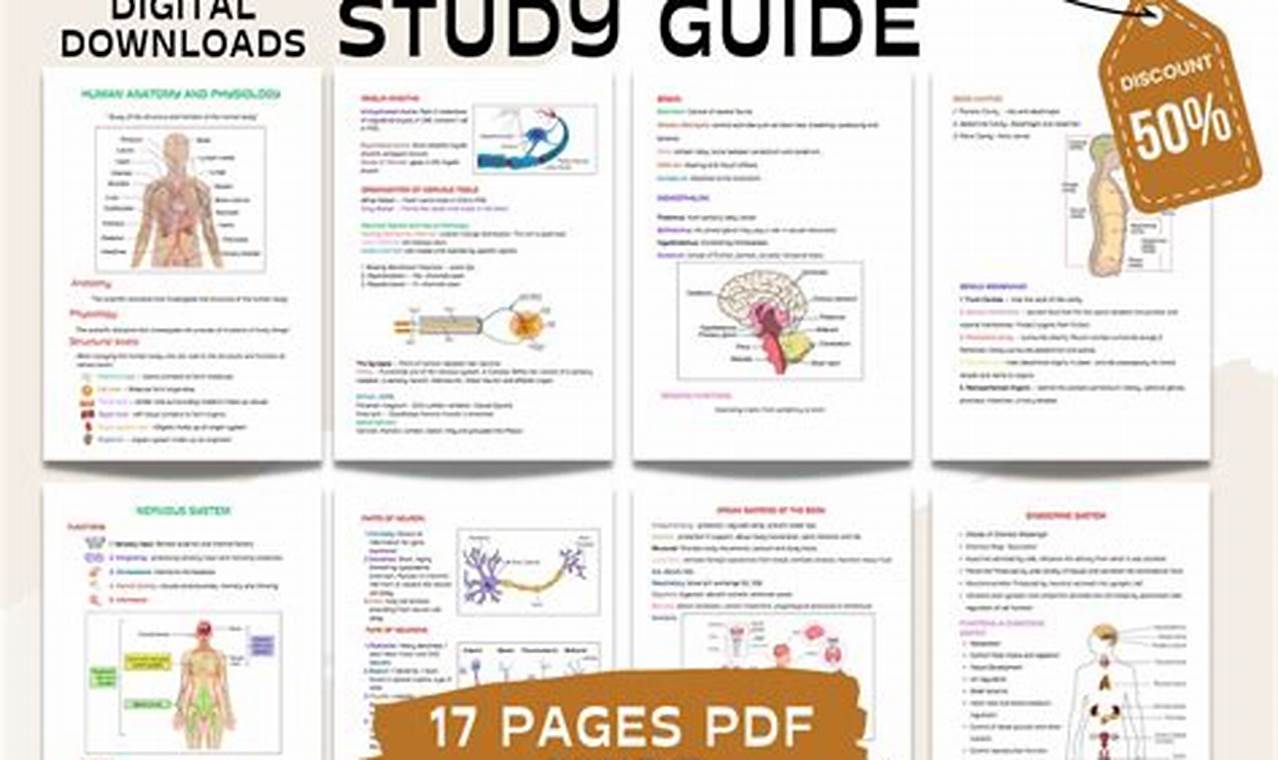 Your Best Anatomy Physiology Study Guide + Tips! | Study Travel Abroad | Explore Educational Trips & Global Learning Opportunities