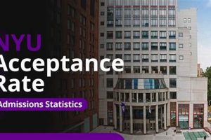 Decoding the NYU Liberal Studies Acceptance Rate [2024 Guide] | Study Travel Abroad | Explore Educational Trips & Global Learning Opportunities