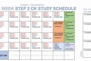 Ace Step 2: Study Schedule Success + Tips | Study Travel Abroad | Explore Educational Trips & Global Learning Opportunities