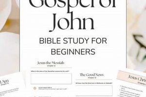 Easy Book of John Study Guide for Beginners: [Year] Edition | Study Travel Abroad | Explore Educational Trips & Global Learning Opportunities