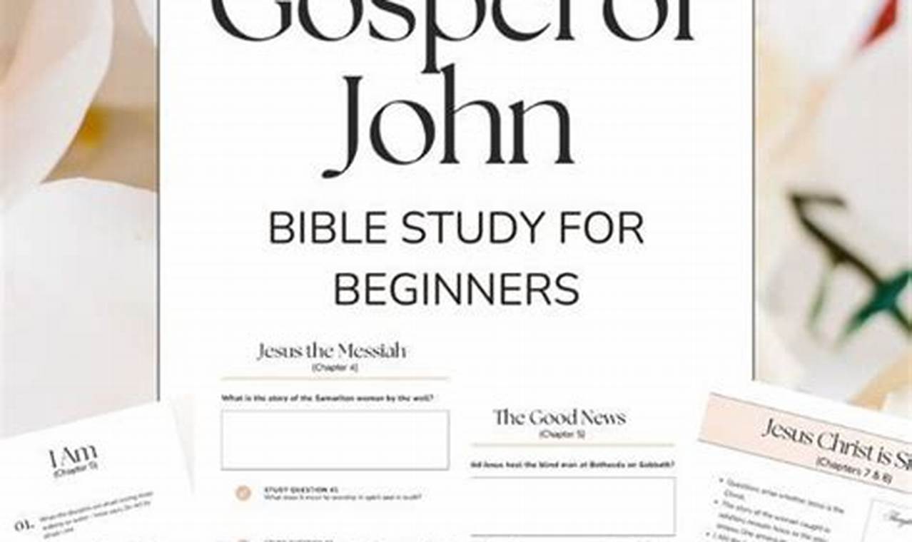 Easy Book of John Study Guide for Beginners: [Year] Edition | Study Travel Abroad | Explore Educational Trips & Global Learning Opportunities