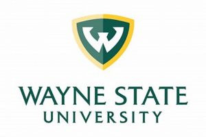 Unlock Your World: Wayne State University Study Abroad Programs Study Travel Abroad | Explore Educational Trips & Global Learning Opportunities Unlock Your World: Wayne State University Study Abroad Programs | Study Travel Abroad | Explore Educational Trips & Global Learning Opportunities