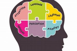 Why Cognitive Psychology Focuses on Studying *Mental Processes*? Study Travel Abroad | Explore Educational Trips & Global Learning Opportunities Why Cognitive Psychology Focuses on Studying *Mental Processes*? | Study Travel Abroad | Explore Educational Trips & Global Learning Opportunities