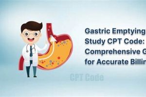 Unlocking Gastric Health: CPT Code Gastric Emptying Study Guide | Study Travel Abroad | Explore Educational Trips & Global Learning Opportunities