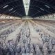 Unearthing the Thousands: Terracotta Army Research | Study Travel Abroad | Explore Educational Trips & Global Learning Opportunities
