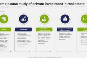 Deep Dive: Private Equity Case Study Analysis + Insights | Study Travel Abroad | Explore Educational Trips & Global Learning Opportunities