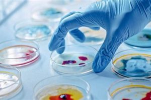 Ace Microbiology: How to Study for Micro Success! | Study Travel Abroad | Explore Educational Trips & Global Learning Opportunities