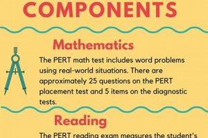 PER Test Study Guide: Ace the PERT + Prep Tips | Study Travel Abroad | Explore Educational Trips & Global Learning Opportunities
