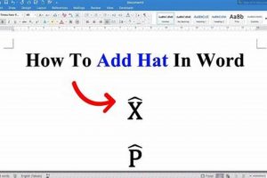 R Studio: How to Type + Common Problems Solved Study Travel Abroad | Explore Educational Trips & Global Learning Opportunities R Studio: How to Type + Common Problems Solved | Study Travel Abroad | Explore Educational Trips & Global Learning Opportunities