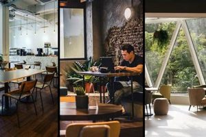 Best Cafes to Study: Your Productive Study Cafe Guide | Study Travel Abroad | Explore Educational Trips & Global Learning Opportunities