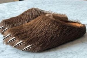 Shop Bravest Studios Bear Claw: Exclusive & Rare Find! Study Travel Abroad | Explore Educational Trips & Global Learning Opportunities Shop Bravest Studios Bear Claw: Exclusive & Rare Find! | Study Travel Abroad | Explore Educational Trips & Global Learning Opportunities