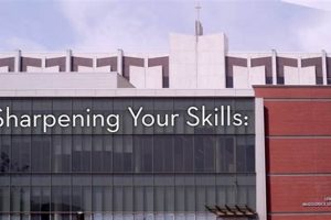 Decoding: Lee & Stuart Rolfe's Seattle University Study | Study Travel Abroad | Explore Educational Trips & Global Learning Opportunities