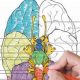Best Anatomy & Physiology Coloring Workbook: Your Study Guide! | Study Travel Abroad | Explore Educational Trips & Global Learning Opportunities