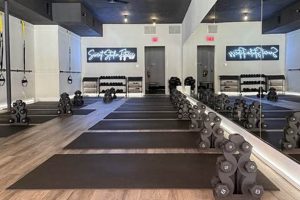Boost Your Fitness: Sweat Studio Workouts That Get Results | Study Travel Abroad | Explore Educational Trips & Global Learning Opportunities