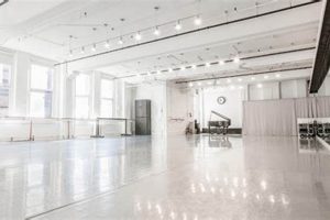 Rent a Dance Studio in NYC: Spaces & Options Study Travel Abroad | Explore Educational Trips & Global Learning Opportunities Rent a Dance Studio in NYC: Spaces & Options | Study Travel Abroad | Explore Educational Trips & Global Learning Opportunities
