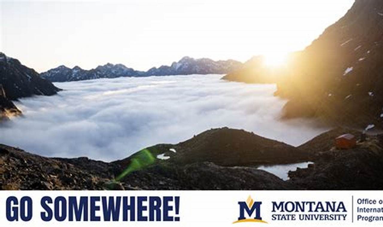 Unlock Your World: Montana State University Study Abroad Guide | Study Travel Abroad | Explore Educational Trips & Global Learning Opportunities