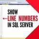 Show Line Numbers: SQL Management Studio Tips & Tricks | Study Travel Abroad | Explore Educational Trips & Global Learning Opportunities
