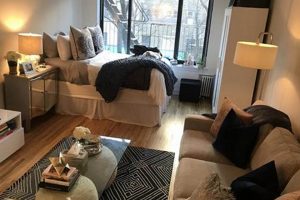 Small Cozy Studio: Design Ideas + Decor Study Travel Abroad | Explore Educational Trips & Global Learning Opportunities Small Cozy Studio: Design Ideas + Decor | Study Travel Abroad | Explore Educational Trips & Global Learning Opportunities