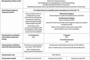 CPR Study Guide: Your Prep Resource + Tips | Study Travel Abroad | Explore Educational Trips & Global Learning Opportunities