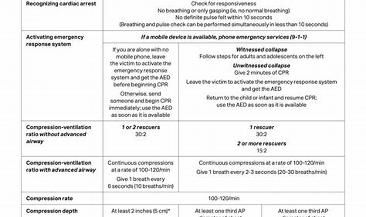 CPR Study Guide: Your Prep Resource + Tips | Study Travel Abroad | Explore Educational Trips & Global Learning Opportunities
