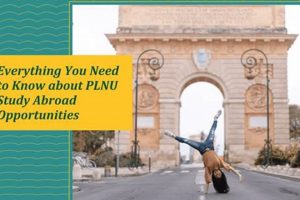 PLNU Study Abroad Programs: Your Global Journey | Study Travel Abroad | Explore Educational Trips & Global Learning Opportunities