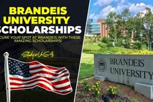 Your Guide: Brandeis Study Abroad Programs & Beyond | Study Travel Abroad | Explore Educational Trips & Global Learning Opportunities