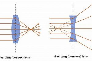Case Lens: Does Arguing Improve Case Studies? Guide | Study Travel Abroad | Explore Educational Trips & Global Learning Opportunities