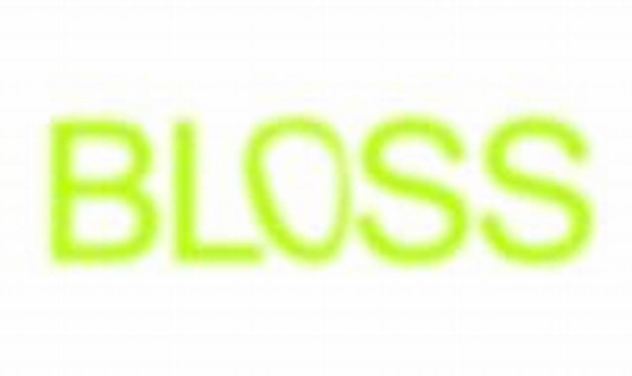 Discover Bloss Studio: Creative Design Experts | Study Travel Abroad | Explore Educational Trips & Global Learning Opportunities