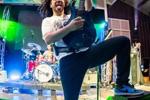 Pigeons Playing Ping Pong: How Many Albums [Studio Guide] | Study Travel Abroad | Explore Educational Trips & Global Learning Opportunities