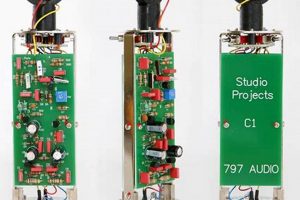 Beginner Studio Projects C1: Study Essentials | Study Travel Abroad | Explore Educational Trips & Global Learning Opportunities