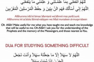 Boost Your Dua Study: Tips & Insights Study Travel Abroad | Explore Educational Trips & Global Learning Opportunities Boost Your Dua Study: Tips & Insights | Study Travel Abroad | Explore Educational Trips & Global Learning Opportunities