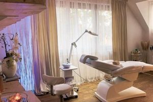 Studio vs Salon: Choose Your Perfect Beauty Spot! | Study Travel Abroad | Explore Educational Trips & Global Learning Opportunities