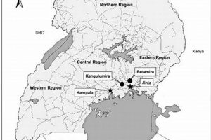 Best Beach Side Study Areas: Your Serene Study Spots Study Travel Abroad | Explore Educational Trips & Global Learning Opportunities Best Beach Side Study Areas: Your Serene Study Spots | Study Travel Abroad | Explore Educational Trips & Global Learning Opportunities