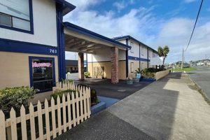 Creative Studio 9 Fort Bragg: Art &amp; Wellness | Study Travel Abroad | Explore Educational Trips & Global Learning Opportunities