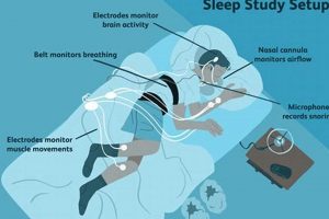 Sleep Study Buddy: Can Someone Stay With You Overnight? | Study Travel Abroad | Explore Educational Trips & Global Learning Opportunities