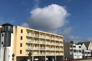 Discover OC Studio Suites Hampton: Your Ideal Stay | Study Travel Abroad | Explore Educational Trips & Global Learning Opportunities