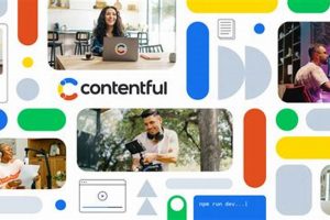 Mastering Contentful Studio: A Content Hub Guide | Study Travel Abroad | Explore Educational Trips & Global Learning Opportunities
