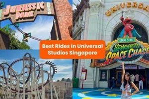 Best Rides at Singapore Universal Studios Guide 2024 | Study Travel Abroad | Explore Educational Trips & Global Learning Opportunities