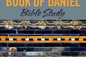 Unlock Daniel: Your Book of Daniel Study Guide Now! | Study Travel Abroad | Explore Educational Trips & Global Learning Opportunities