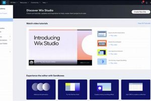Wix Studio Cell Size: Quick Edit Guide & Tips | Study Travel Abroad | Explore Educational Trips & Global Learning Opportunities